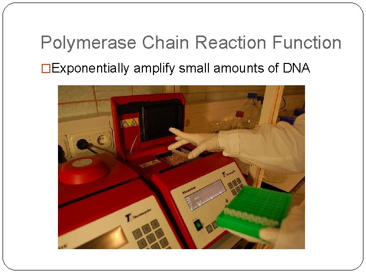 Polymerase Chain Reaction Function �Exponentially amplify small amounts of DNA 