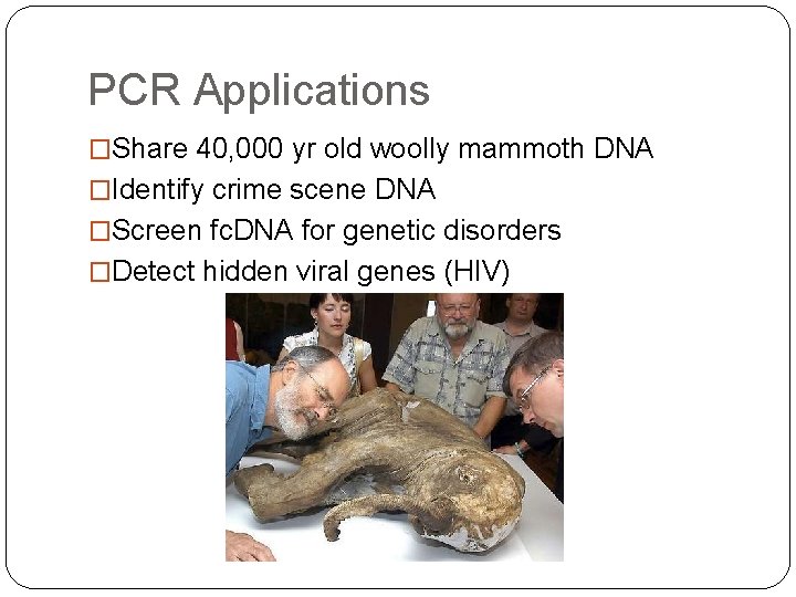 PCR Applications �Share 40, 000 yr old woolly mammoth DNA �Identify crime scene DNA