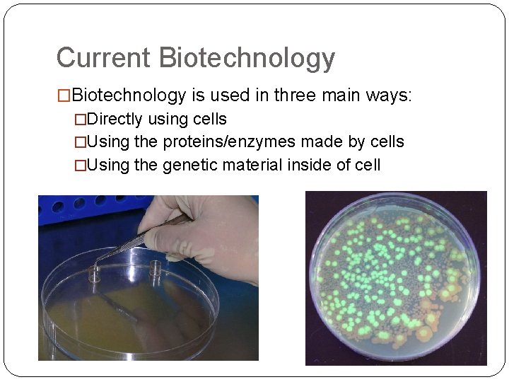 Current Biotechnology �Biotechnology is used in three main ways: �Directly using cells �Using the