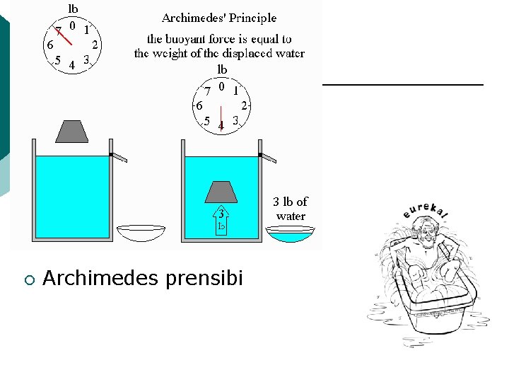 ¡ Archimedes prensibi 