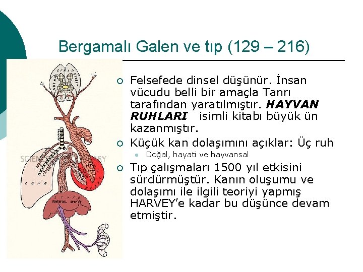 Bergamalı Galen ve tıp (129 – 216) ¡ ¡ Felsefede dinsel düşünür. İnsan vücudu