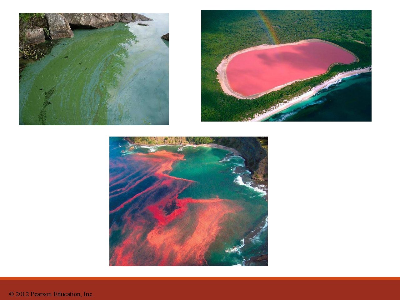 © 2012 Pearson Education, Inc. 