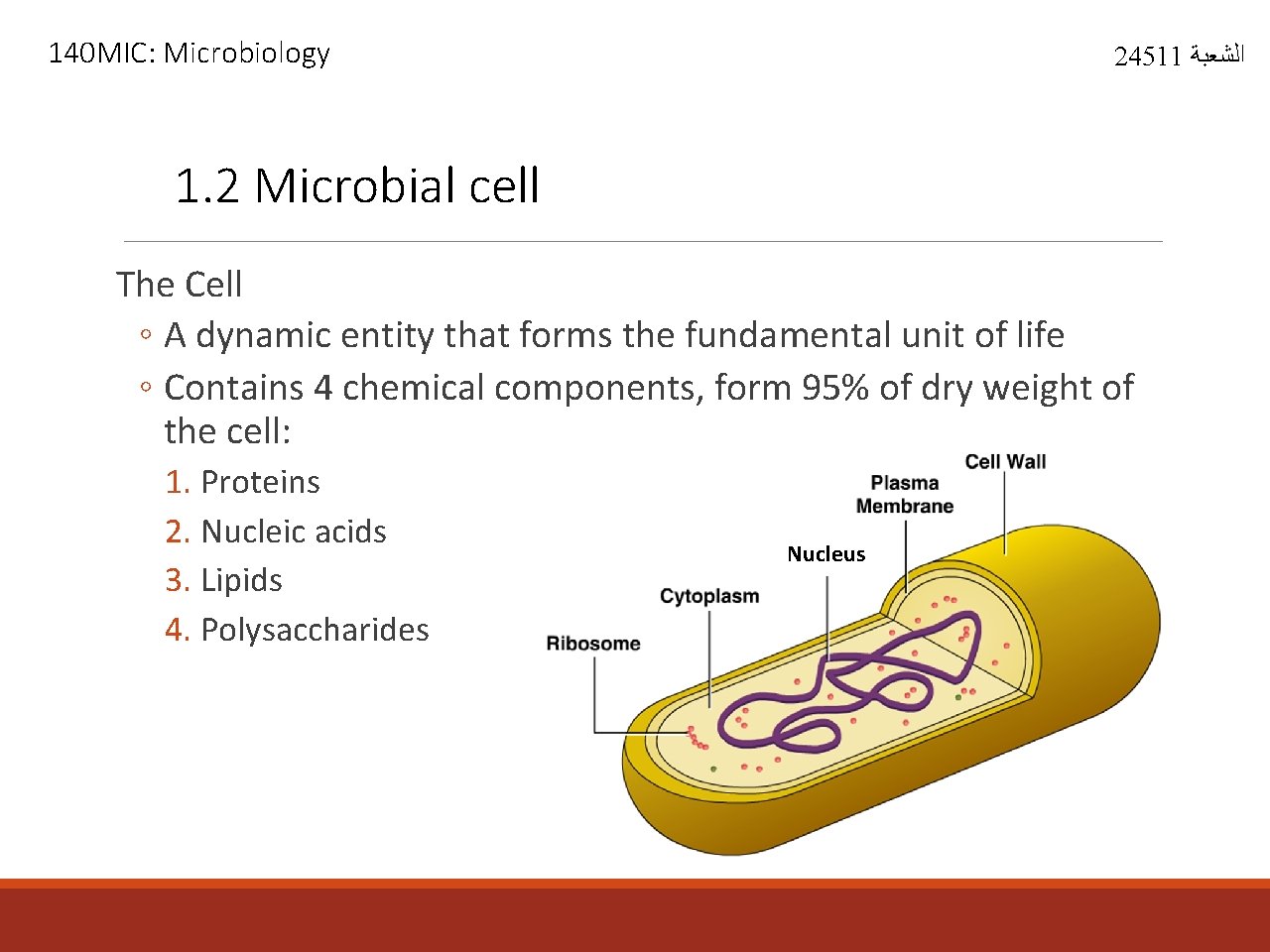 140 MIC: Microbiology 24511 ﺍﻟﺸﻌﺒﺔ 1. 2 Microbial cell The Cell ◦ A dynamic
