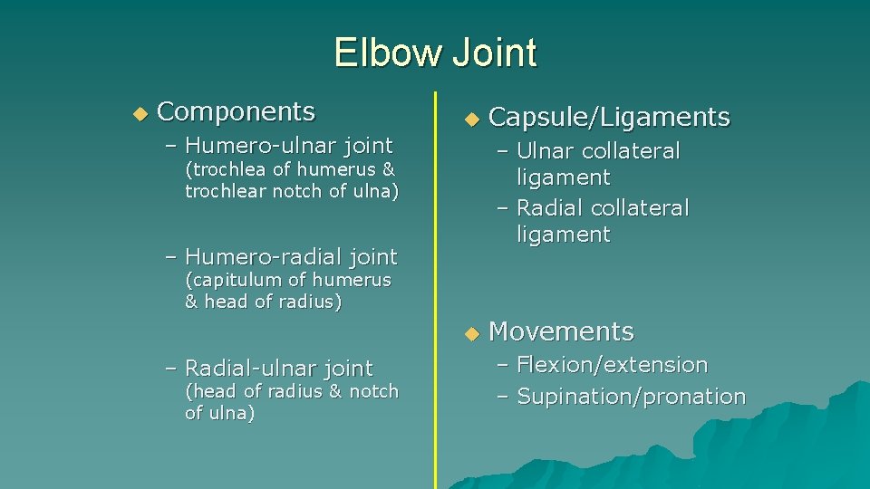 Elbow Joint u Components – Humero-ulnar joint u Capsule/Ligaments – Ulnar collateral ligament – Elbow Joint u Components – Humero-ulnar joint u Capsule/Ligaments – Ulnar collateral ligament –
