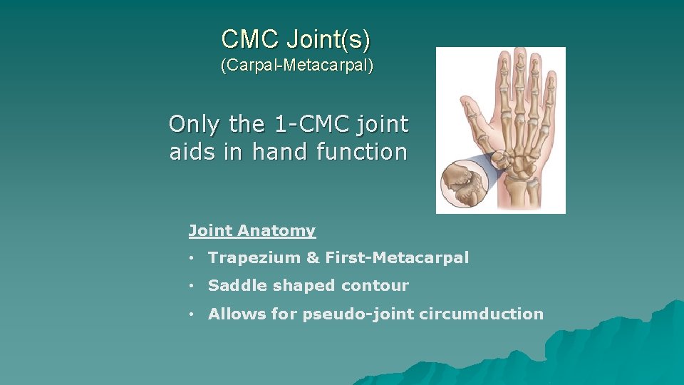 CMC Joint(s) (Carpal-Metacarpal) Only the 1 -CMC joint aids in hand function Joint Anatomy CMC Joint(s) (Carpal-Metacarpal) Only the 1 -CMC joint aids in hand function Joint Anatomy