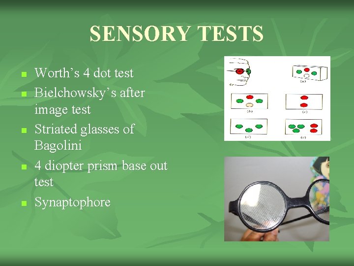 SENSORY TESTS n n n Worth’s 4 dot test Bielchowsky’s after image test Striated