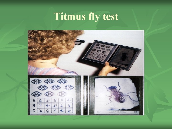 Titmus fly test 