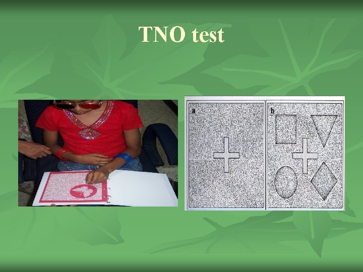 TNO test 