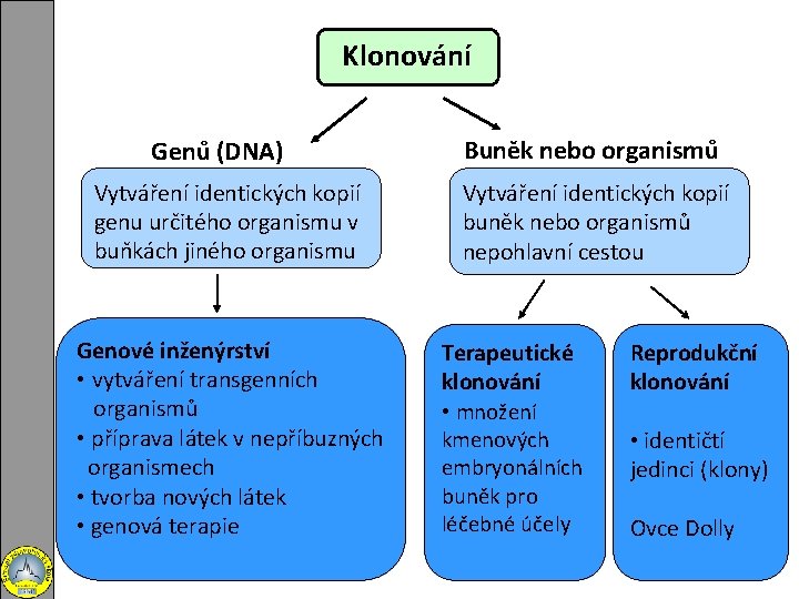 Klonování Genů (DNA) Vytváření identických kopií genu určitého organismu v buňkách jiného organismu Genové