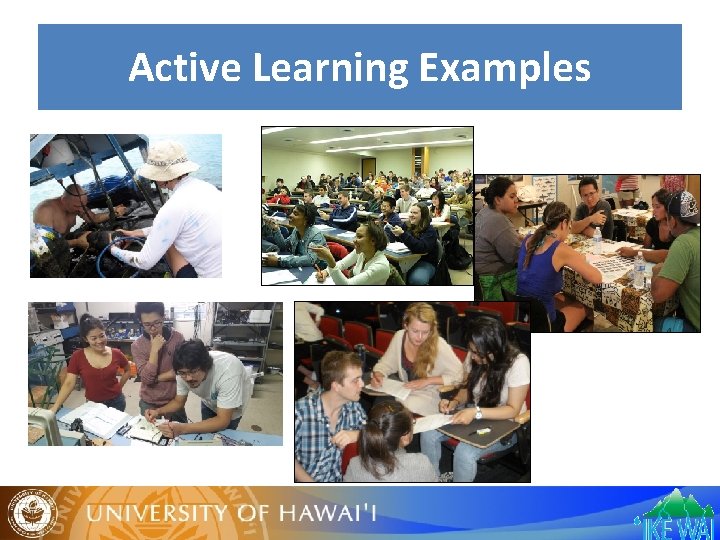 Active Learning Examples 