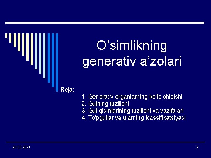 O’simlikning generativ a’zolari Reja: 1. Generativ organlarning kelib chiqishi 2. Gulning tuzilishi 3. Gul