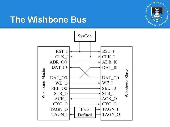 The Wishbone Bus The Wishbone Bus