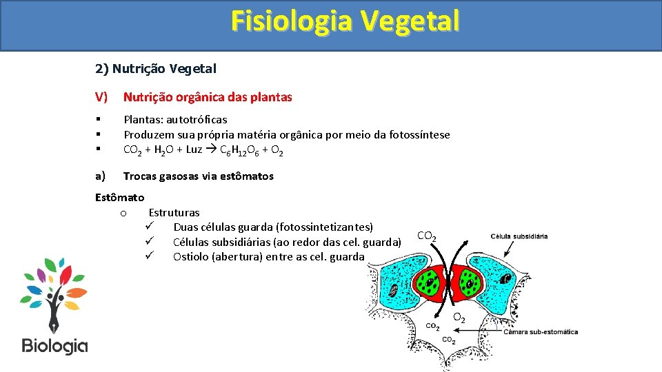 Fisiologia. Vegetal Fisiologia 2) Nutrição Vegetal V) Nutrição orgânica das plantas § § §