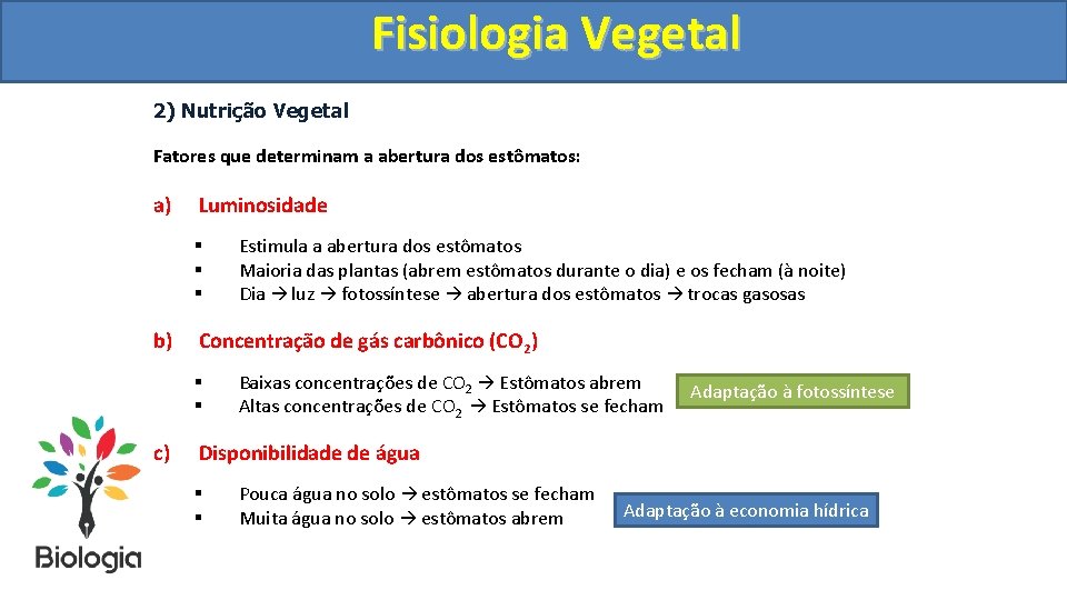 Fisiologia. Vegetal Fisiologia 2) Nutrição Vegetal Fatores que determinam a abertura dos estômatos: a)