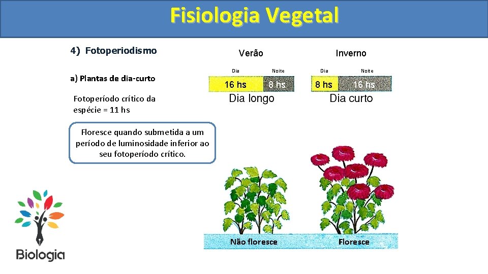 Fisiologia. Vegetal Fisiologia 4) Fotoperiodismo a) Plantas de dia-curto Verão Inverno Dia Noite Dia