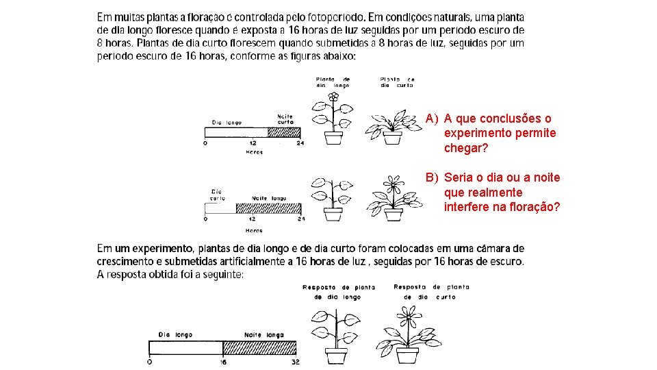 A) A que conclusões o experimento permite chegar? B) Seria o dia ou a