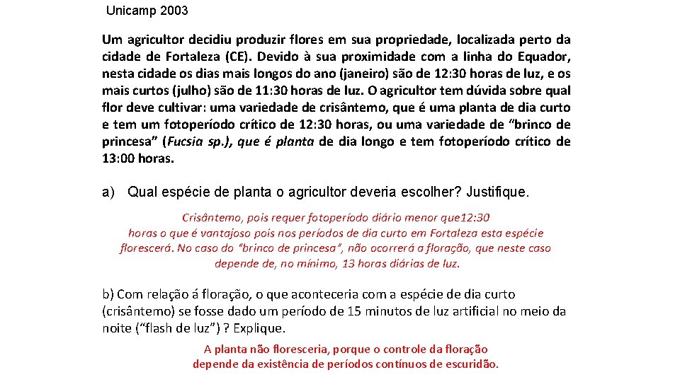 Unicamp 2003 Um agricultor decidiu produzir flores em sua propriedade, localizada perto da cidade
