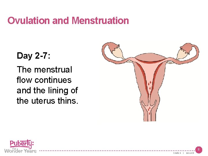 Lesson 5 | Growing Up Female Ovulation and Menstruation Day 2 -7: The menstrual