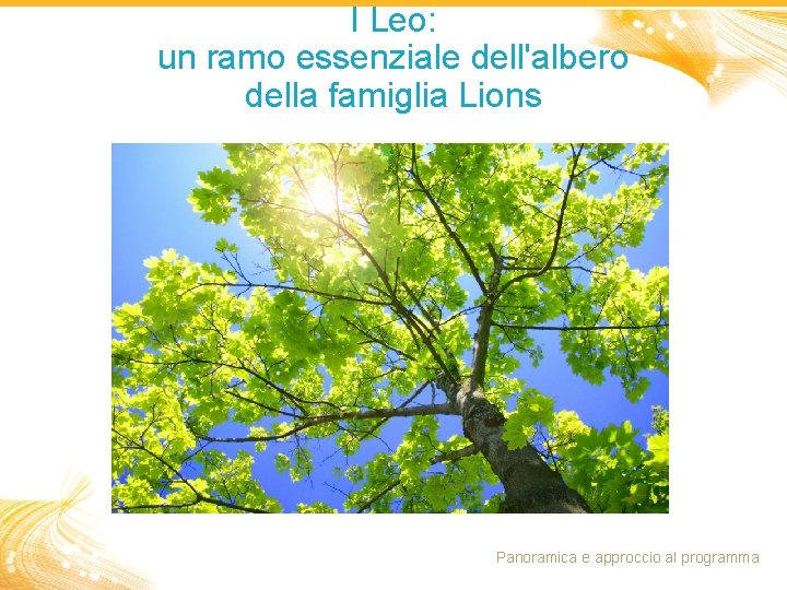 I Leo: un ramo essenziale dell'albero della famiglia Lions Panoramica e approccio al programma