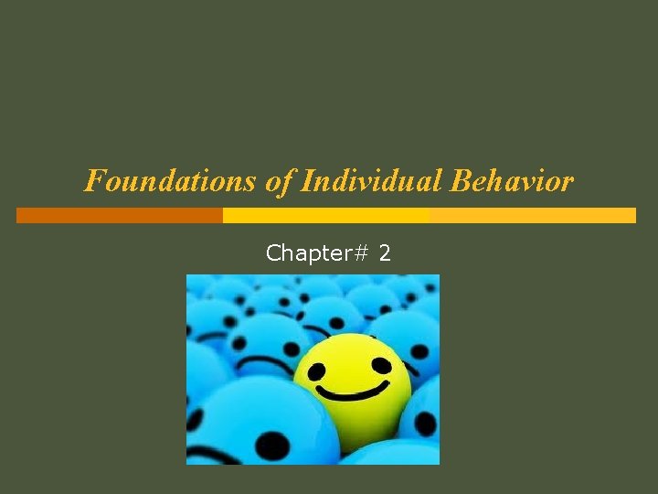 Foundations of Individual Behavior Chapter# 2 