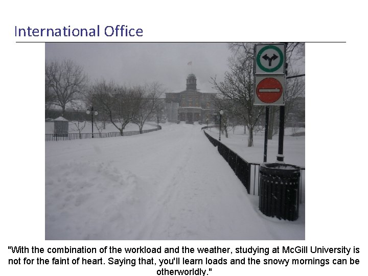 International Office "With the combination of the workload and the weather, studying at Mc.