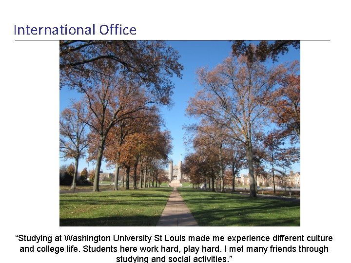 International Office “Studying at Washington University St Louis made me experience different culture and