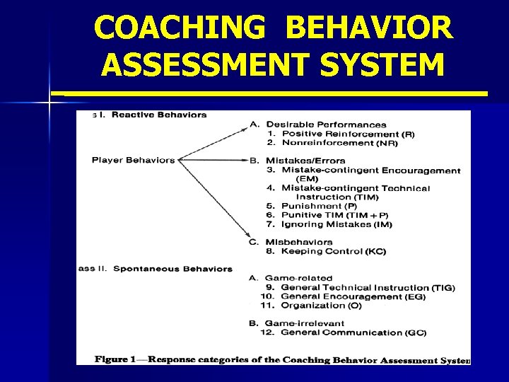 COACHING BEHAVIOR ASSESSMENT SYSTEM 