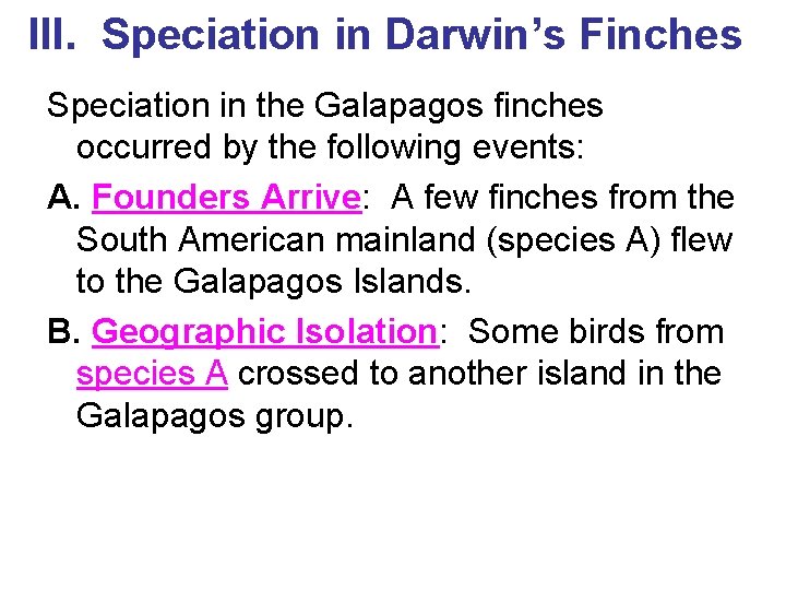 III. Speciation in Darwin’s Finches Speciation in the Galapagos finches occurred by the following