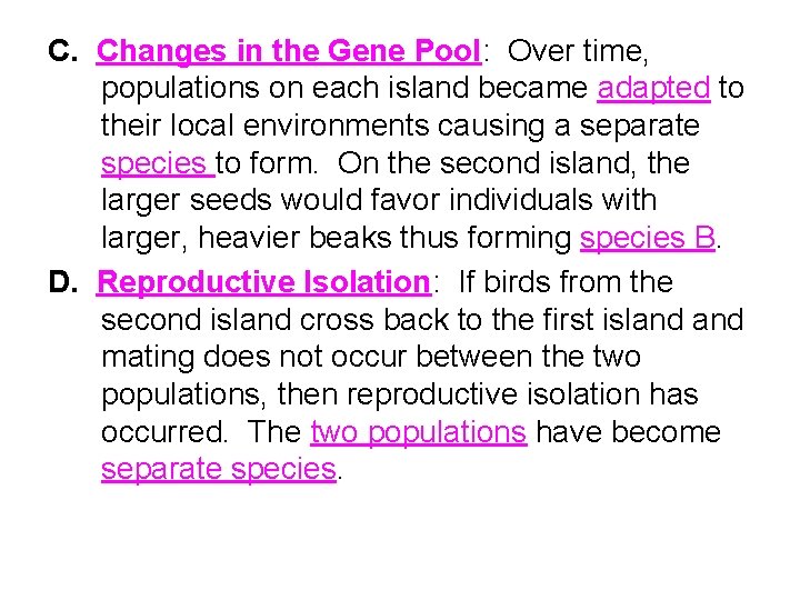 C. Changes in the Gene Pool: Over time, populations on each island became adapted