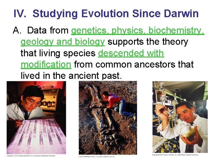 IV. Studying Evolution Since Darwin A. Data from genetics, physics, biochemistry, geology and biology