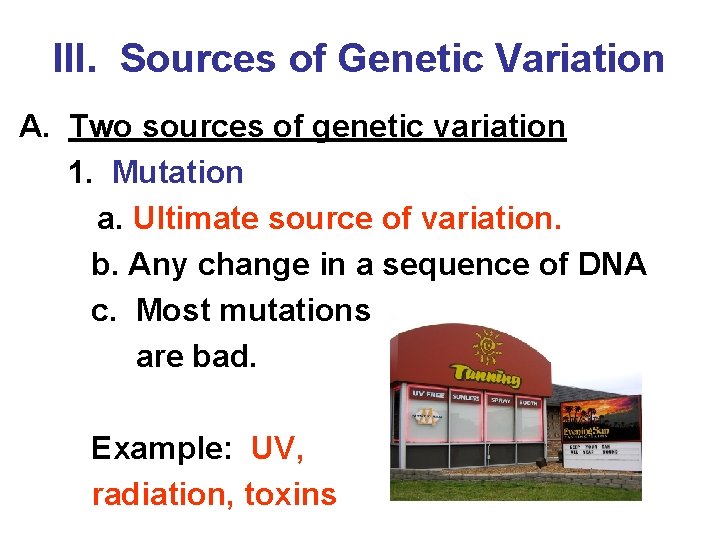 III. Sources of Genetic Variation A. Two sources of genetic variation 1. Mutation a.
