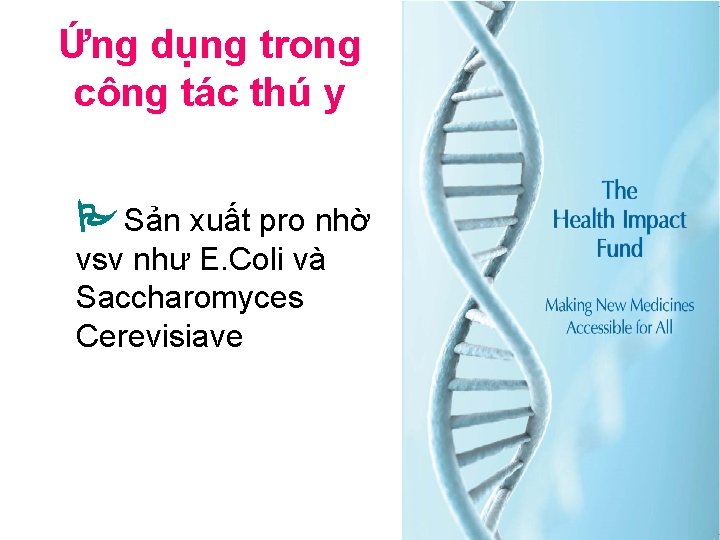 Ứng dụng trong công tác thú y Sản xuất pro nhờ vsv như E.