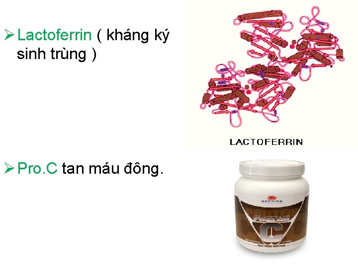  Lactoferrin ( kháng ký sinh trùng ) Pro. C tan máu đông. 