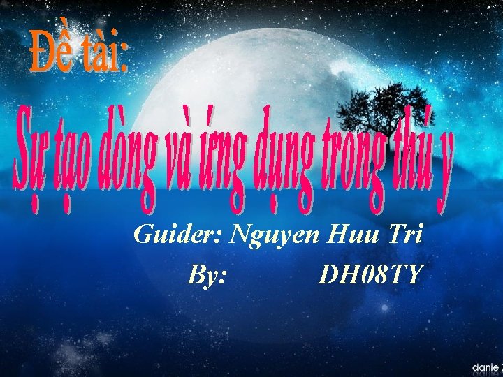 Guider: Nguyen Huu Tri By: DH 08 TY 