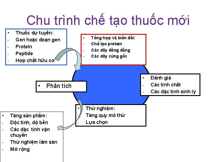 Chu trình chế tạo thuốc mới • - Thuốc dự tuyển: Gen hoặc đoạn