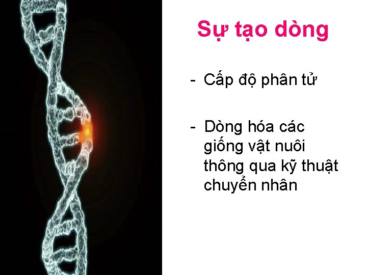 Sự tạo dòng - Cấp độ phân tử - Dòng hóa các giống vật