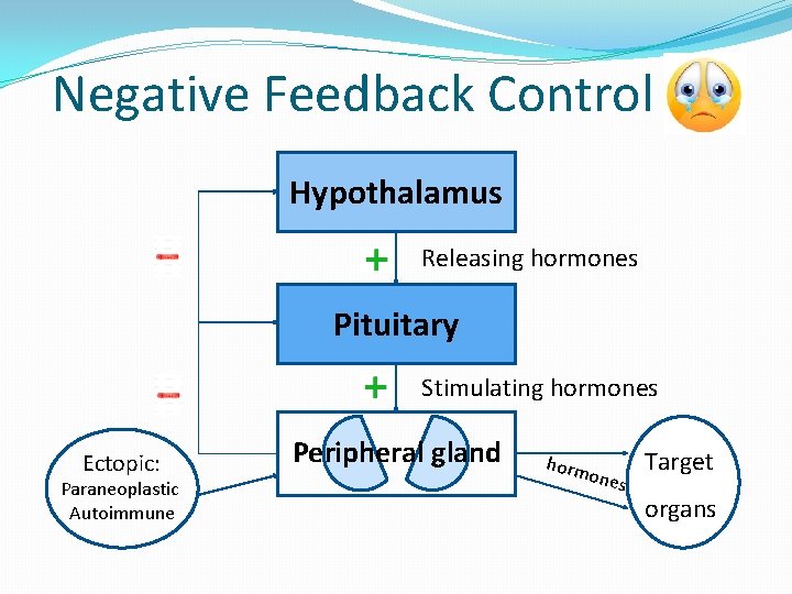 Negative Feedback Control Hypothalamus Releasing hormones Pituitary Stimulating hormones Ectopic: Paraneoplastic Autoimmune Peripheral gland