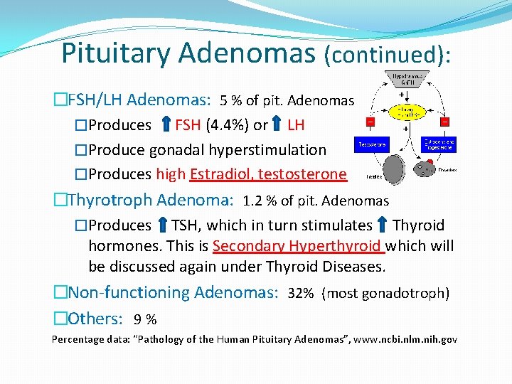 Pituitary Adenomas (continued): �FSH/LH Adenomas: 5 % of pit. Adenomas �Produces FSH (4. 4%)