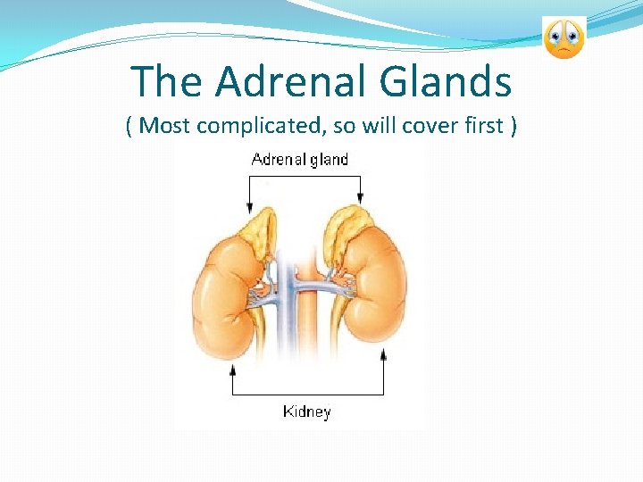 The Adrenal Glands ( Most complicated, so will cover first ) 