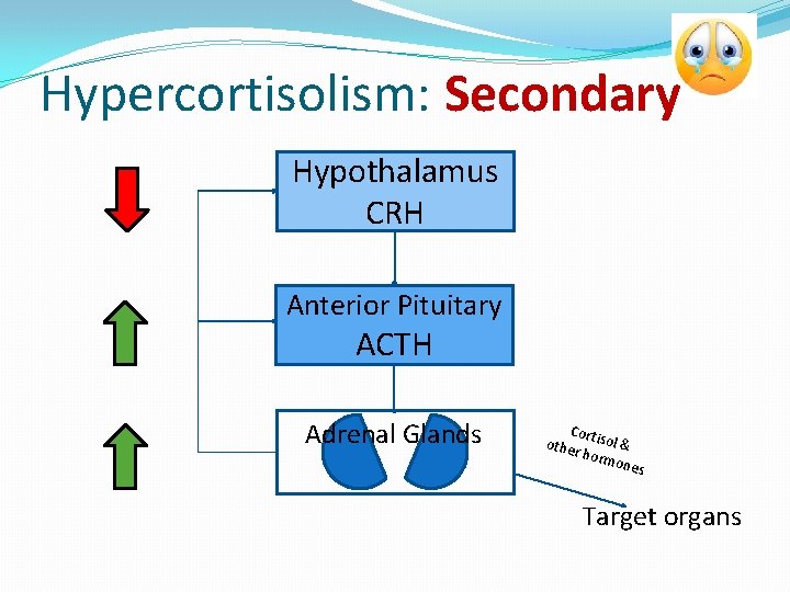 Hypercortisolism: Secondary Hypothalamus CRH Anterior Pituitary ACTH Adrenal Glands Cor other tisol & horm