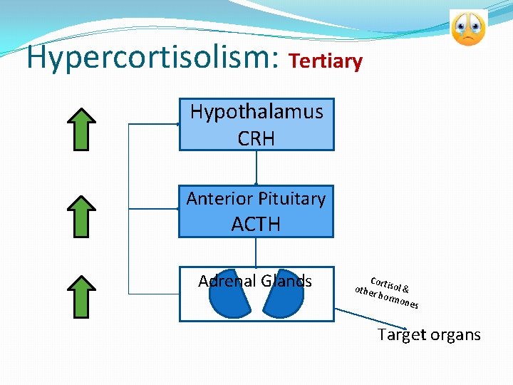 Hypercortisolism: Tertiary Hypothalamus CRH Anterior Pituitary ACTH Adrenal Glands Cor other tisol & horm
