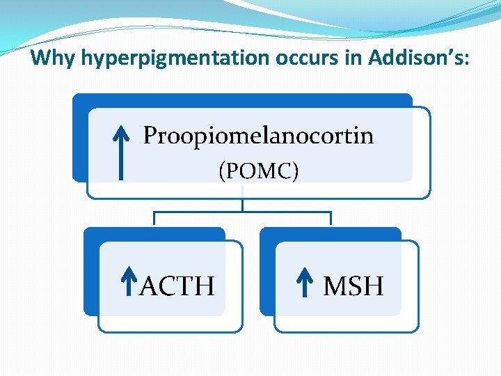 Why hyperpigmentation occurs in Addison’s: Proopiomelanocortin (POMC) ACTH MSH 