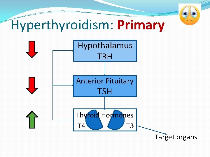 Hyperthyroidism: Primary Hypothalamus TRH Anterior Pituitary TSH Thyroid Hormones T 4 T 3 Target