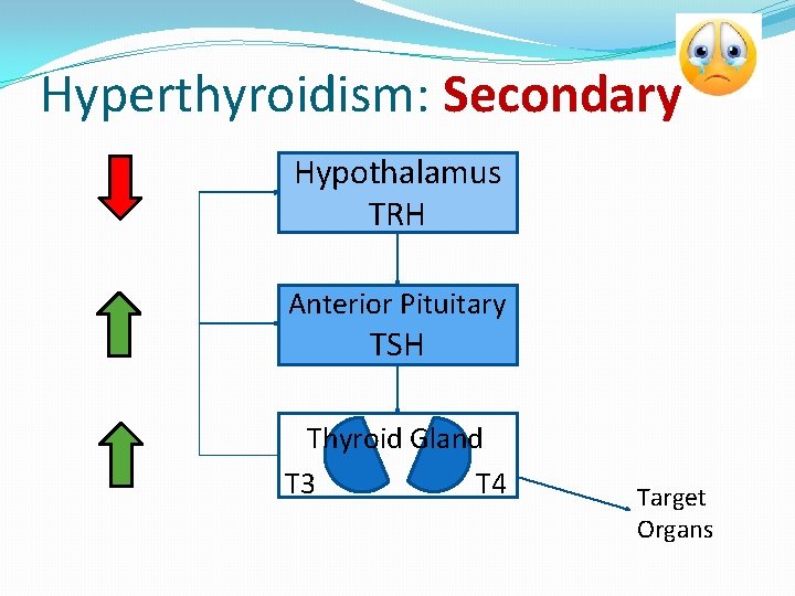 Hyperthyroidism: Secondary Hypothalamus TRH Anterior Pituitary TSH Thyroid Gland T 3 T 4 Target