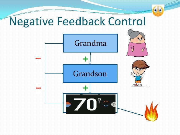 Negative Feedback Control Grandma Grandson 