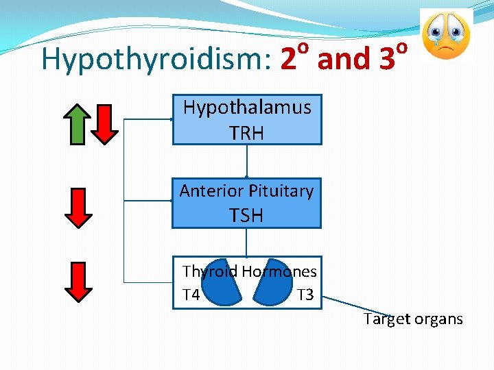 o Hypothyroidism: 2 and 3 o Hypothalamus TRH Anterior Pituitary TSH Thyroid Hormones T