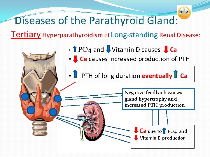 Diseases of the Parathyroid Gland: Tertiary Hyperparathyroidism of Long-standing Renal Disease: PO 4 and