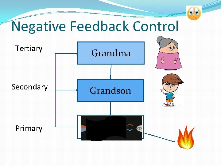 Negative Feedback Control Tertiary Grandma Secondary Grandson Primary 
