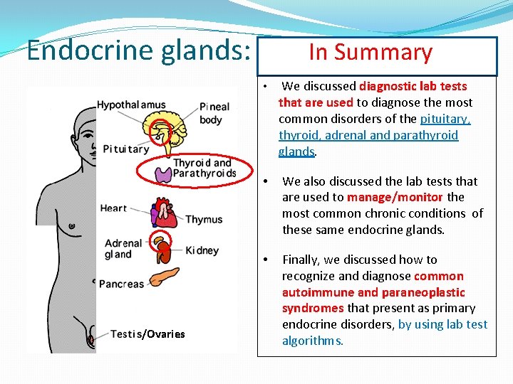 Endocrine glands: /Ovaries In Summary • We discussed diagnostic lab tests that are used