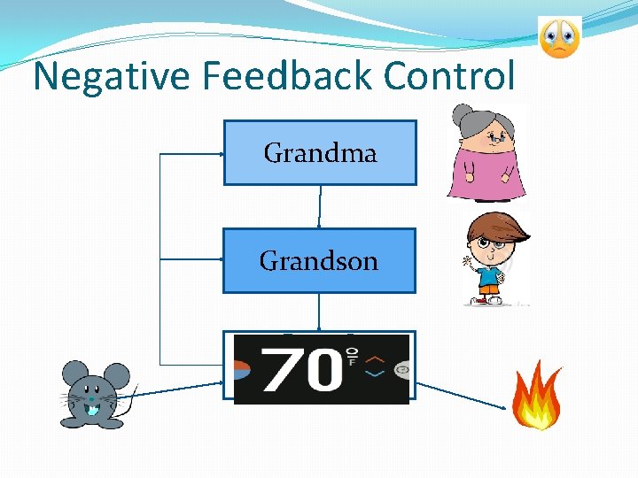 Negative Feedback Control Grandma Grandson 